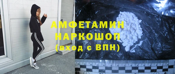 молекула духа Осташков