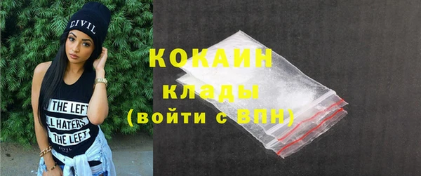 дживик Пестово