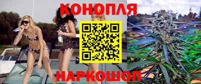 крисы Кандалакша