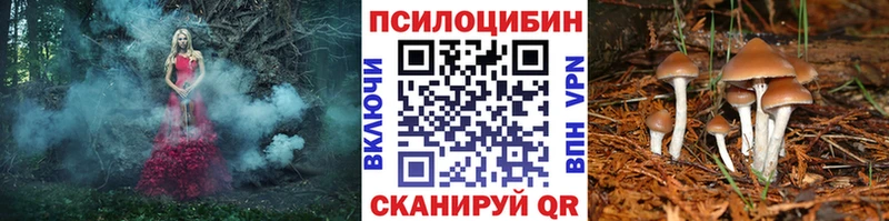 Галлюциногенные грибы Cubensis  блэк спрут онион  Тихвин 